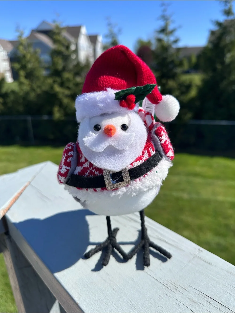 Festive Voice | 